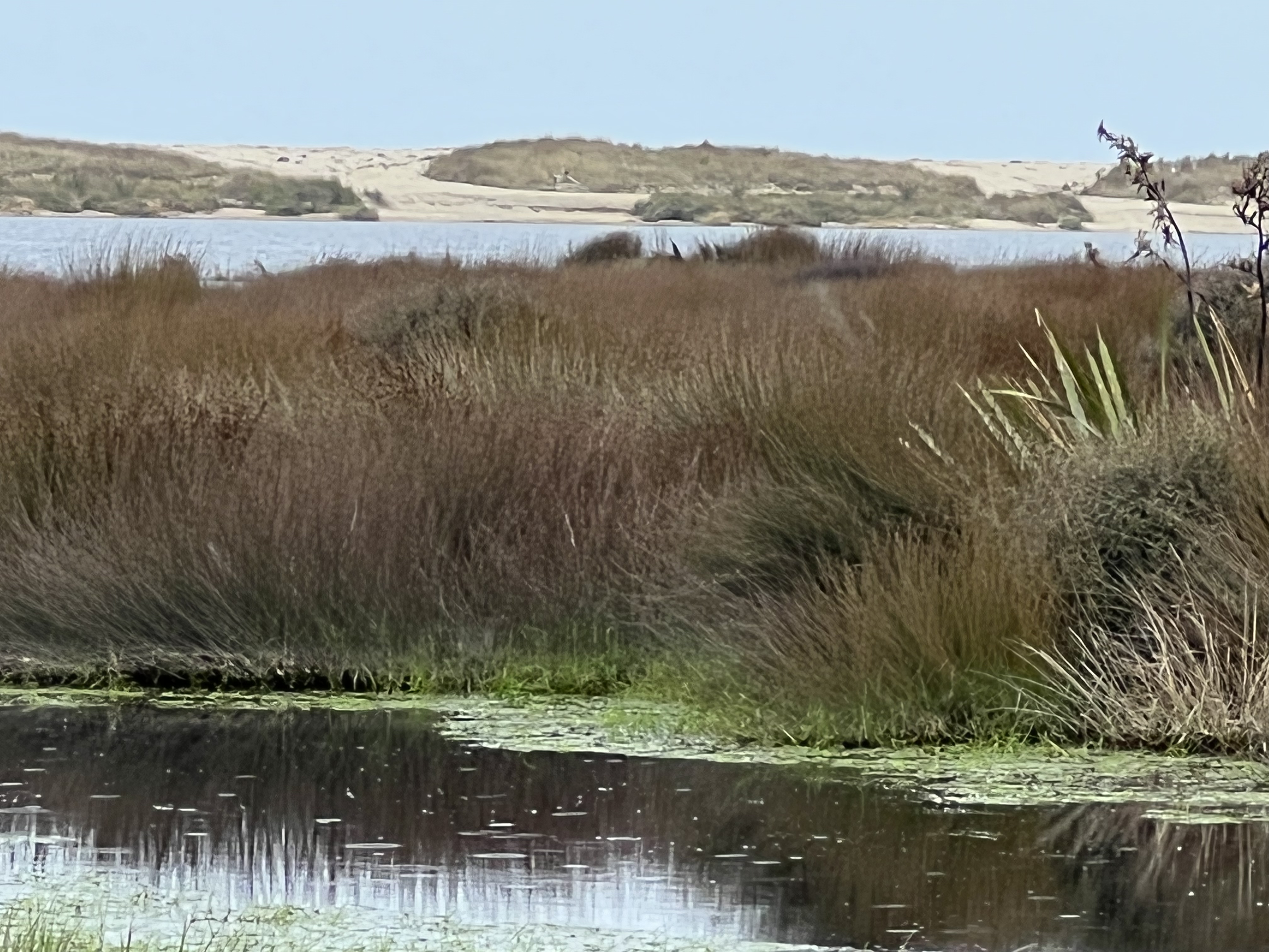 Lagoon in September 2022